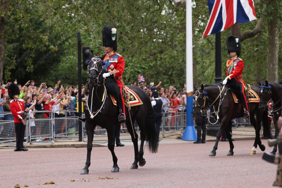 Cavalos do Palácio de Buckingham