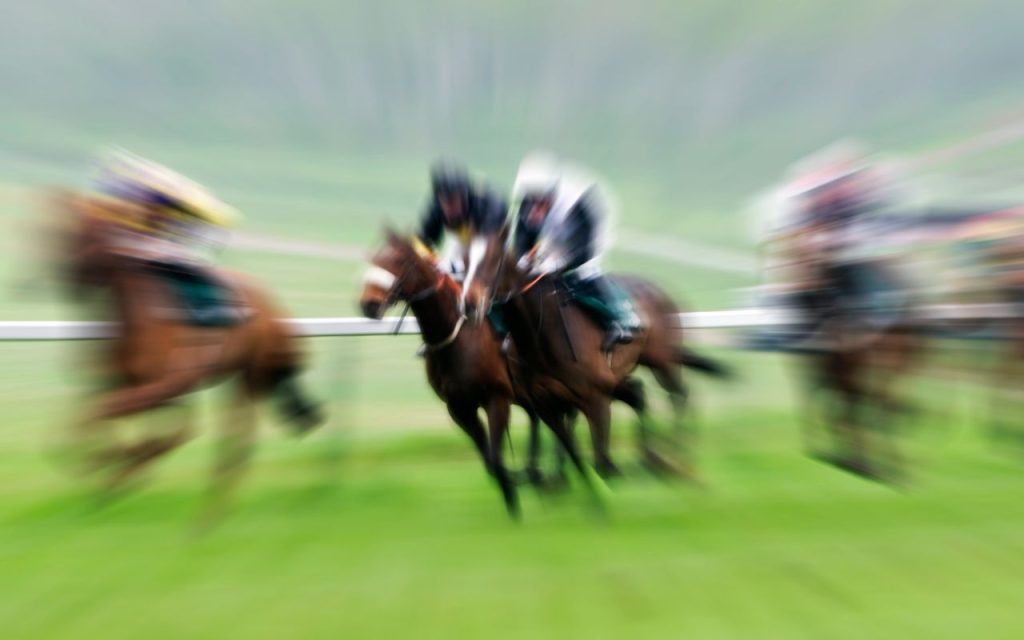 Corrida de Cavalos - Foto: Banco de Imagem