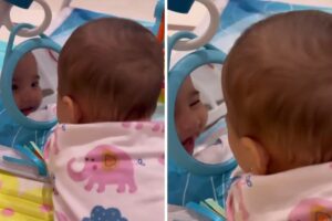 Mavie se encanta ao ver próprio reflexo no espelho