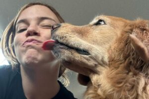 Alice Wegmann lamenta morte de cachorro