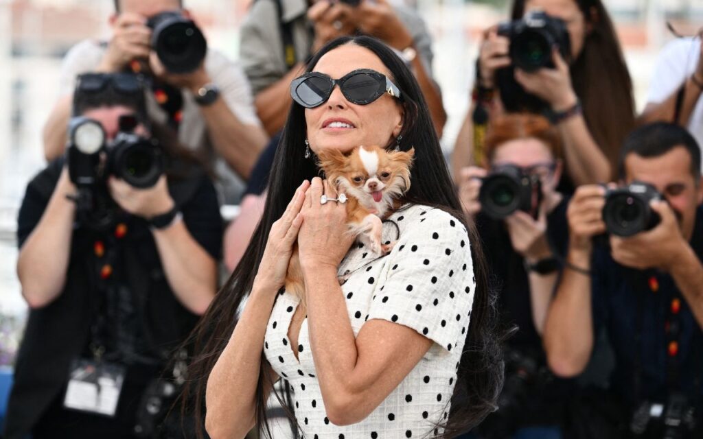 Demi Moore brilha no Festival de Cannes com sua cachorrinha no colo – Fotos!
