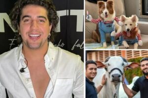 Nattan, cachorros, dupla Henrique e Juliano e o boi