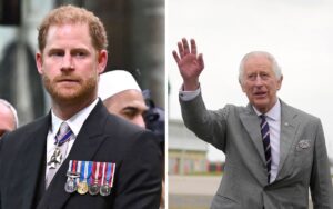 Principe Harry e Rei Charles III