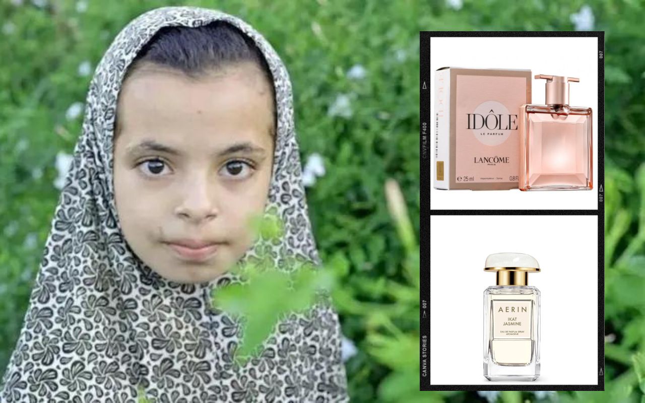 Marcas de perfumes de luxo envolvidas em trabalho escravo de crianças no Egito