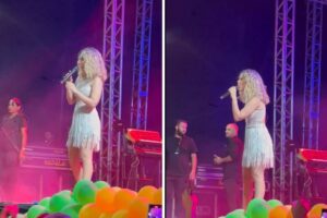 Wanessa expulsa hater em show