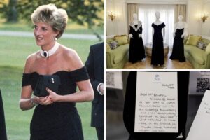 Princesa Diana e itens do leilão