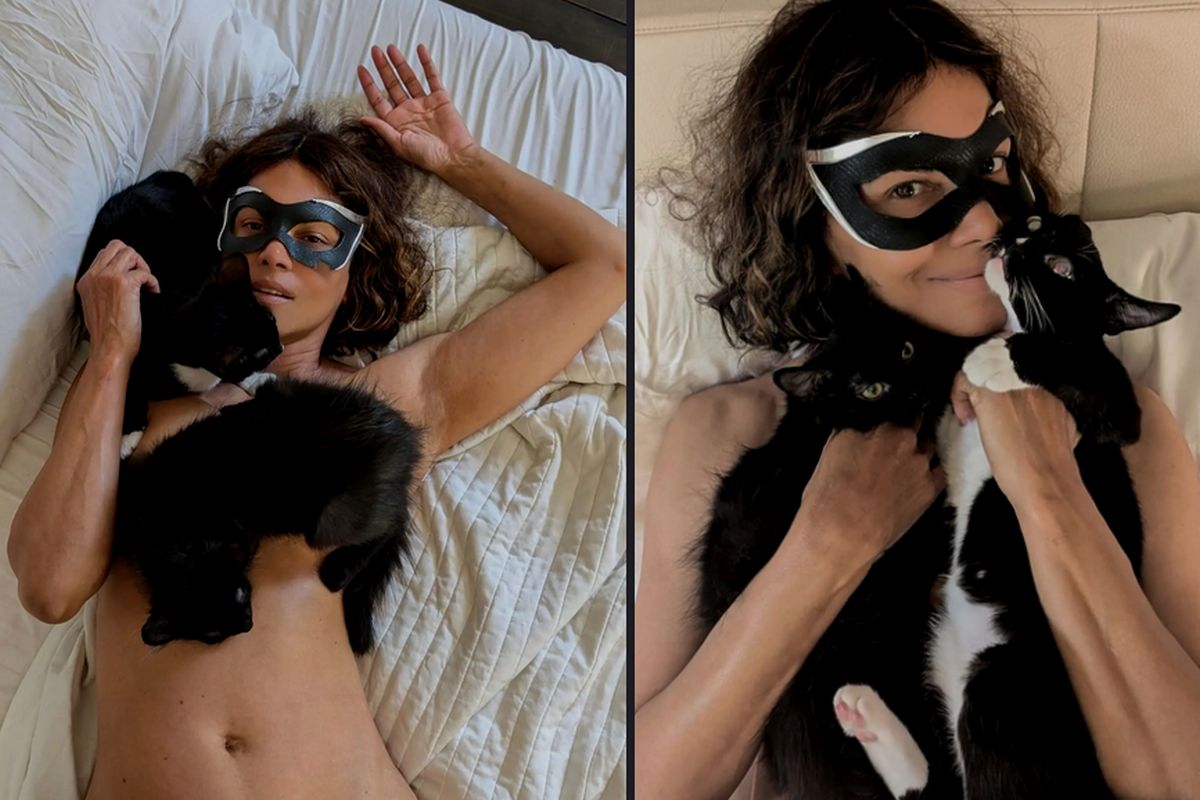 Halle Berry com seus gatinhos de estimação