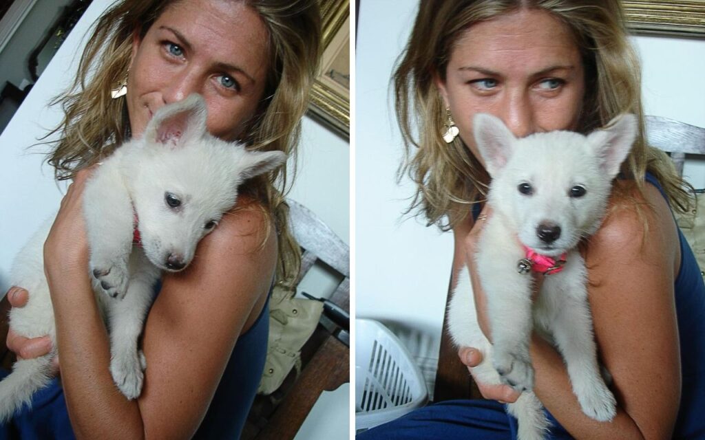 Jennifer Aniston dedica sua vida aos cães e participa de adoção temporária