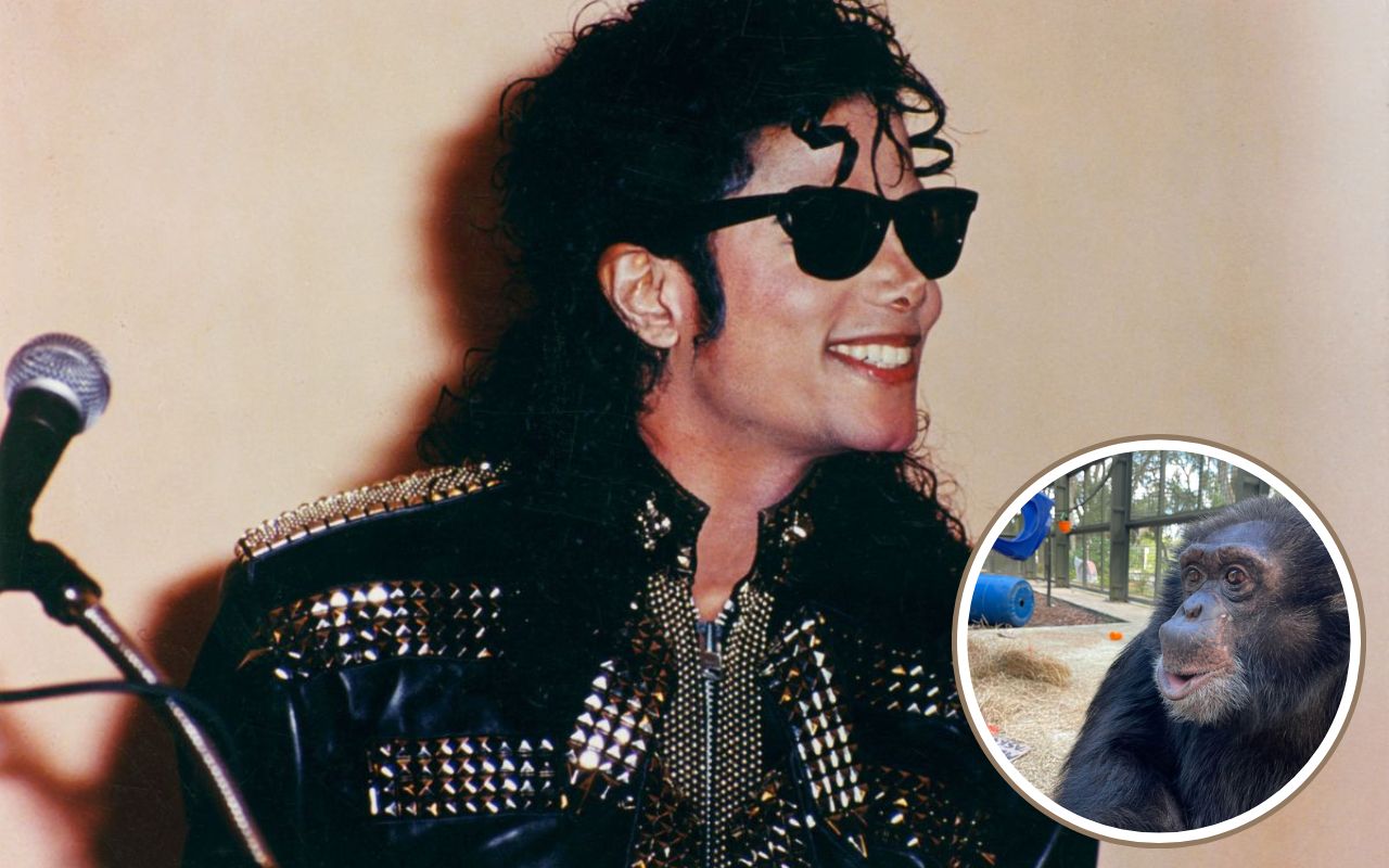 Michael Jackson e chimpanzé Bubble