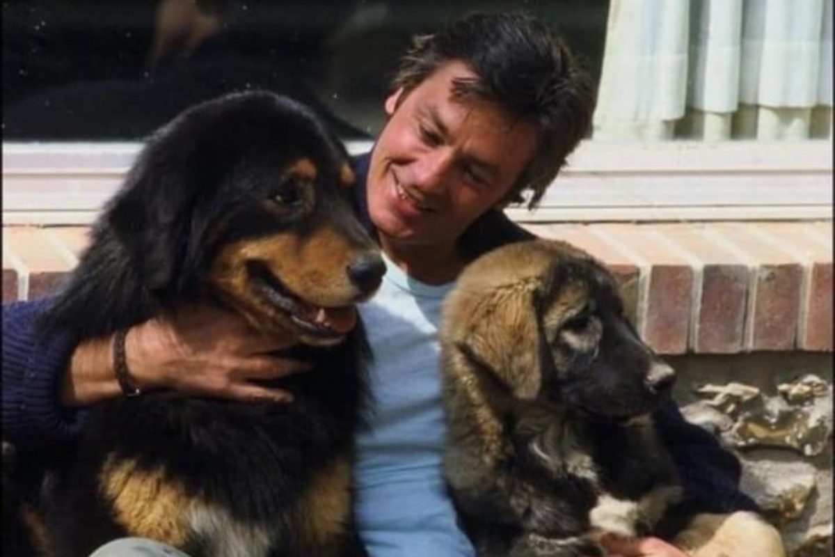 Alain Delon e seus pets