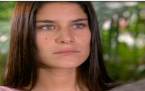 Resumo dos capítulos de 