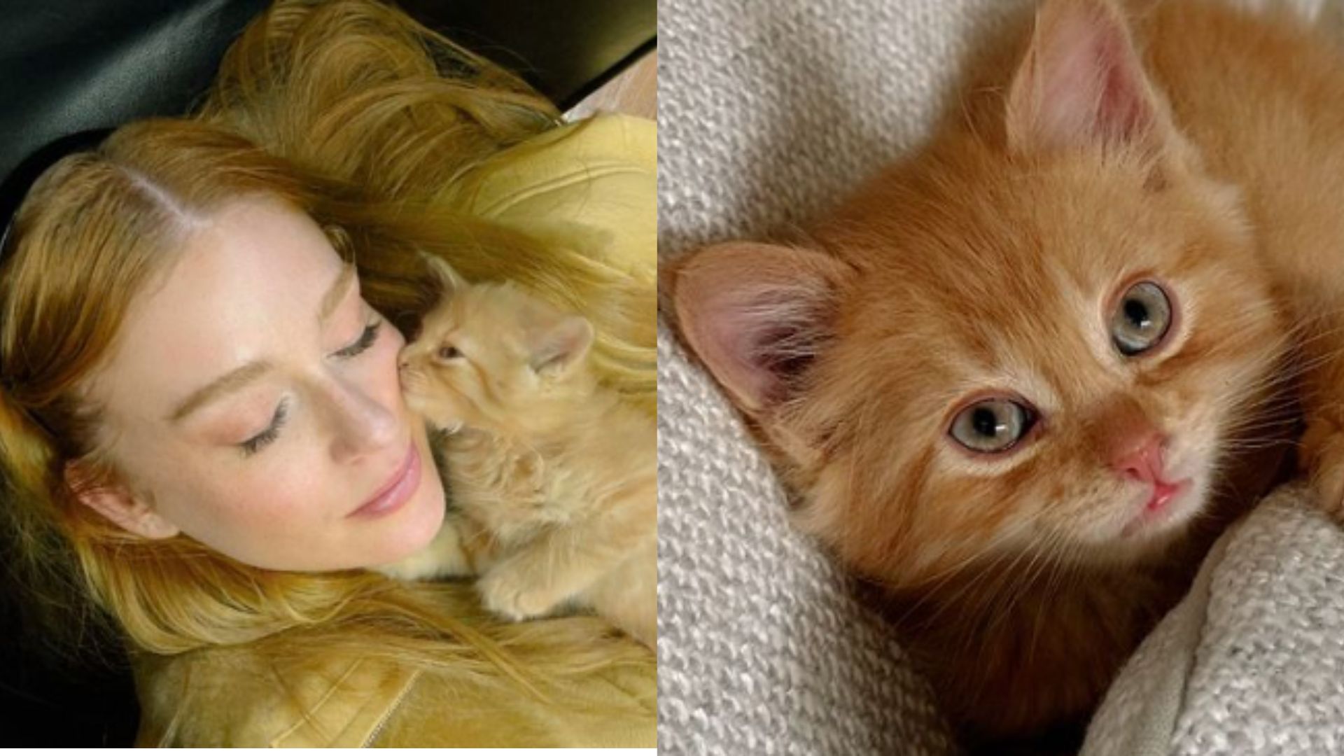 Marina Ruy Barbosa apresenta novo gatinho de estimação