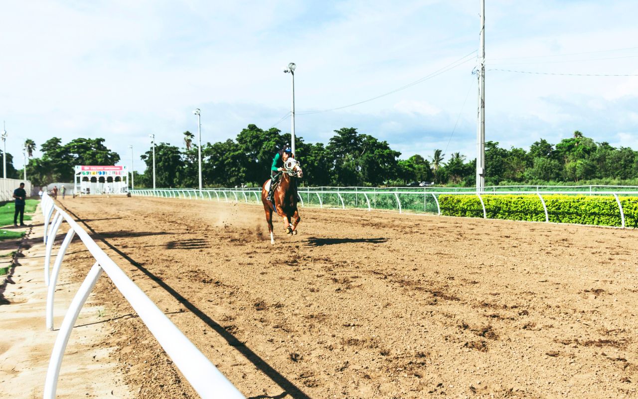 corrida de cavalo