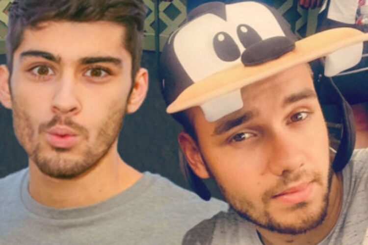 Zayn Malik, Liam Payne