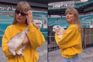 Taylor Swift com seu gato em estádio