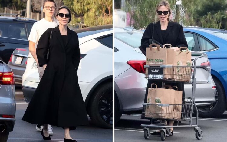 Angelina Jolie faz compras com o filho Knox em Los Angeles após apoiar vítimas de incêndios