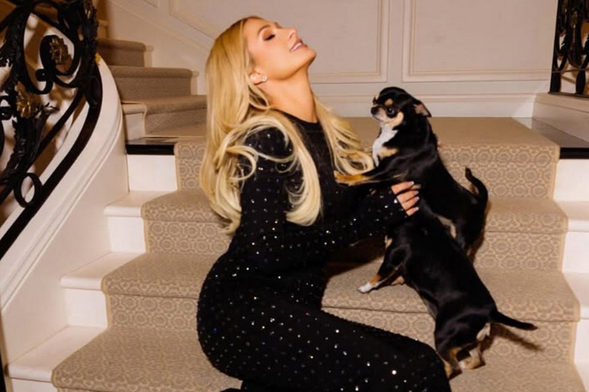 Paris Hilton com seus cães clonados