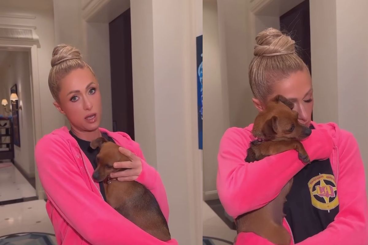 Paris Hilton chora ao devolver cachorrinha perdida