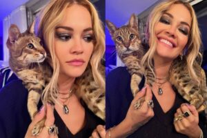 Rita Ora e o gato Bruno