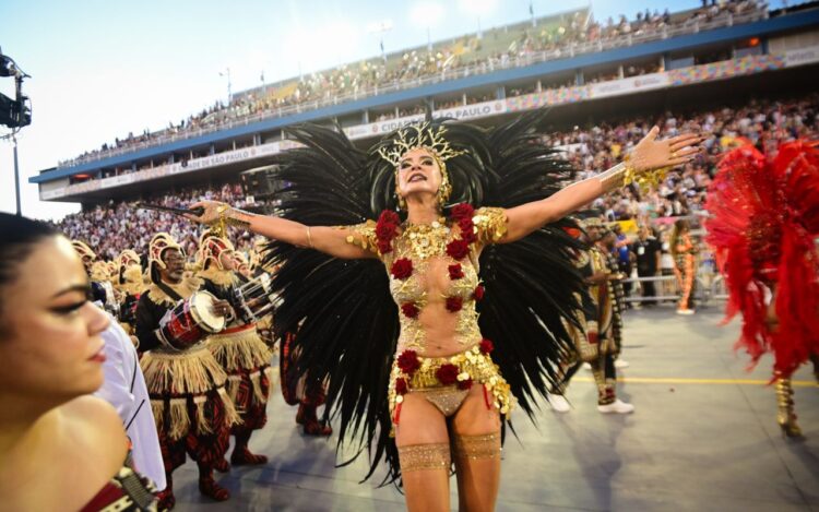 Desfile da Vai Vai - Luciana Gimenez - Foto_ Leo Franco AgNews (2)