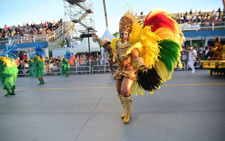 Desfile da Vai Vai - Foto_ Leo Franco AgNews (5)