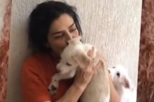 Cachorros de Letícia Sabatella