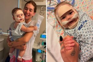 Virginia Fonseca e José Leonardo