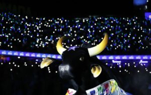 Boi Caprichoso - Parintins - Fotos_ Alexandre Vieira (2)