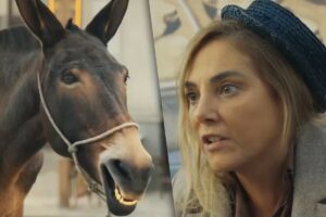 fotomontagem de policarpo e zulma (heloisa périssé) em êta mundo melhor