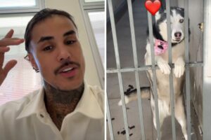 MC Livinho mostra momentos em casa