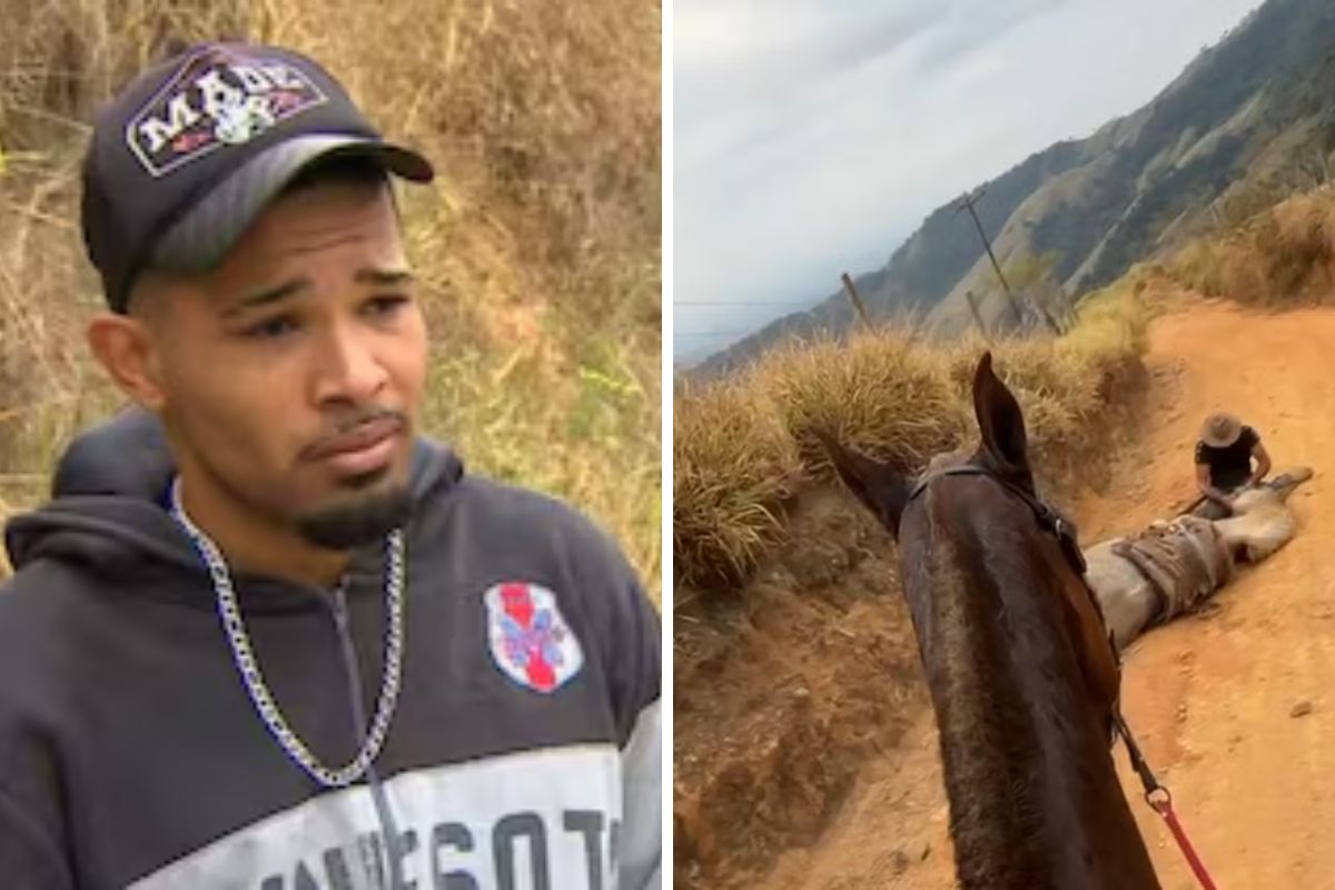 Homem e cavalos na estradas de terra