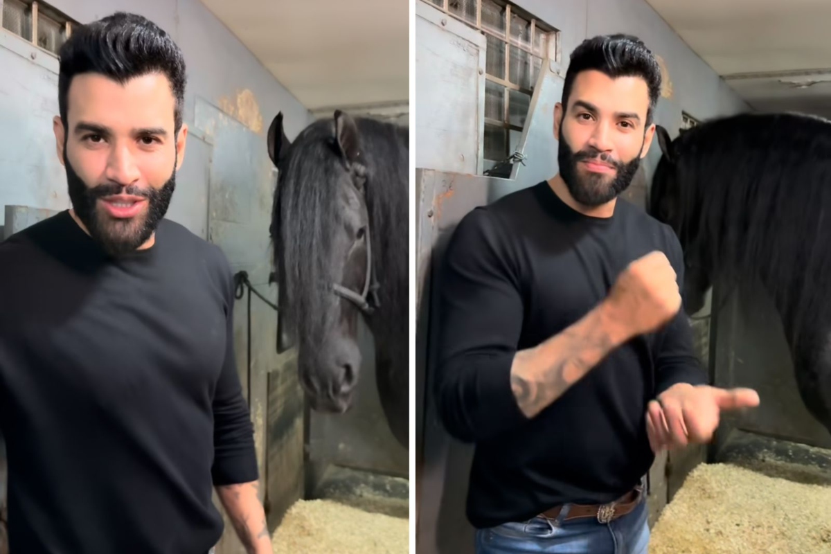 Gusttavo Lima leiloa cavalo