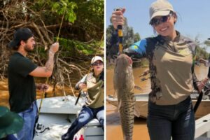 ana castela e zé felipe