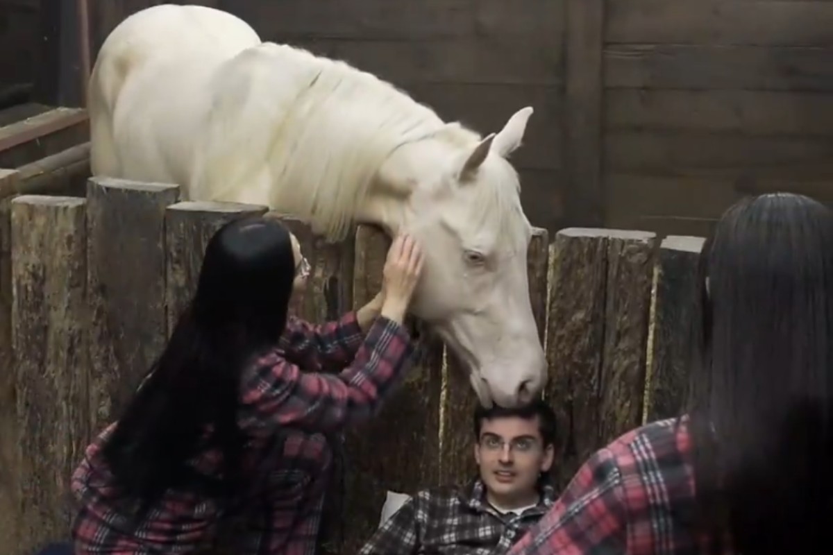 cavalo mordendo a cabeça de dudu camargo em a fazenda 17