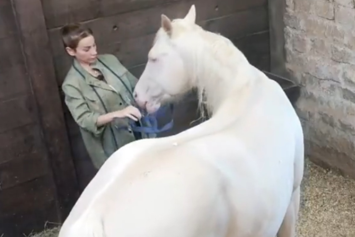 maria cuidando do cavalo apolo em a fazenda 17