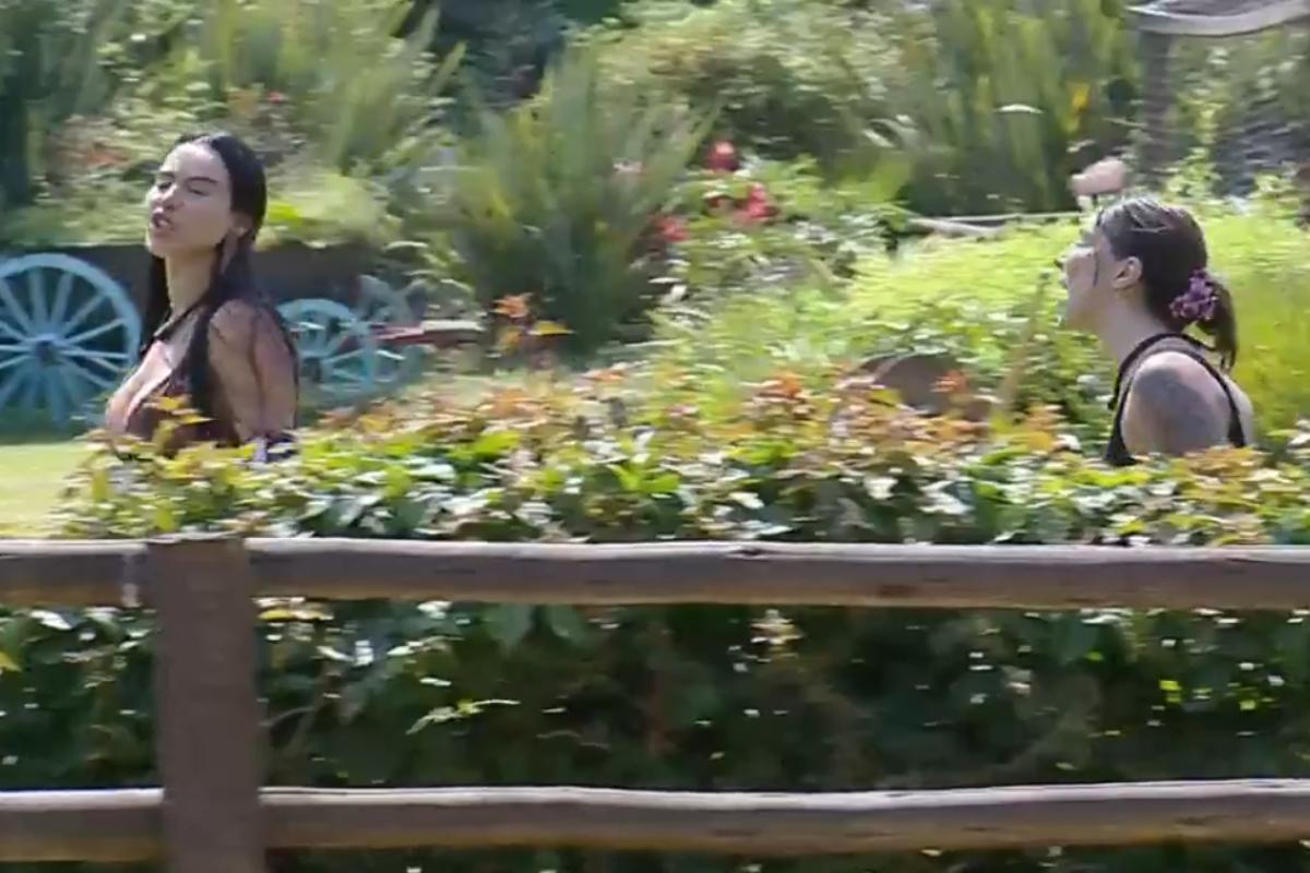 martina e tamires brigando em a fazenda 17