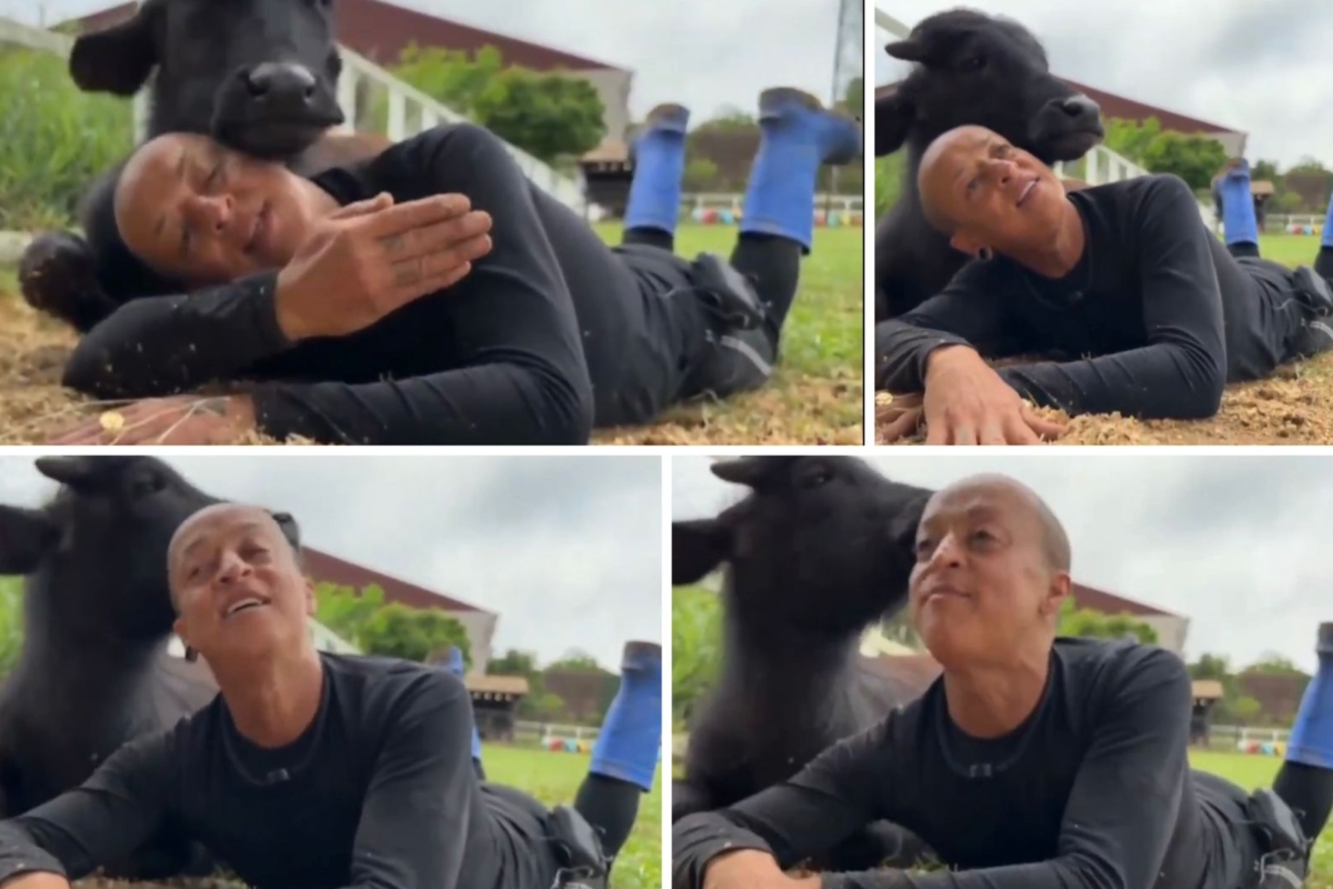 Walério Araújo e o búfalo