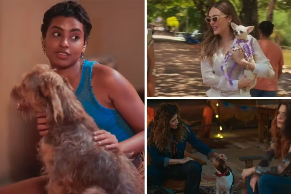 Os pets Bagunça, Patricinha e Sofrência