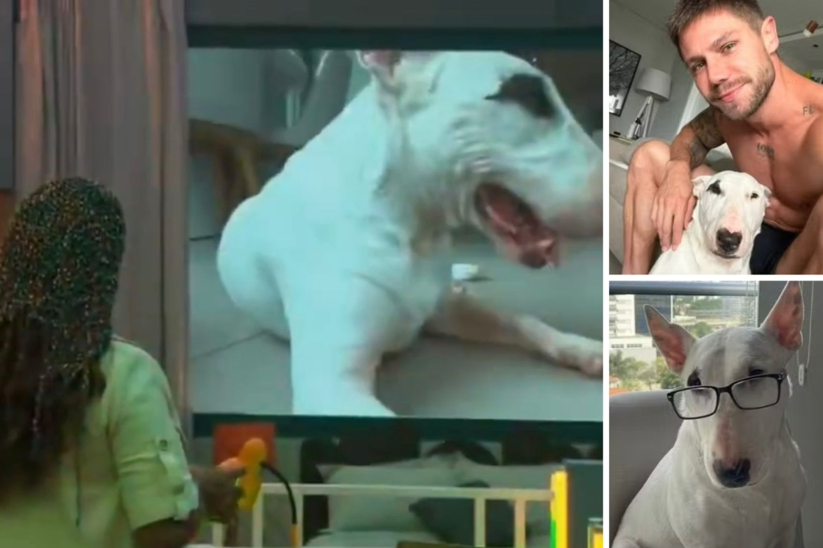 Solange Couto critica cachorro de Jonas