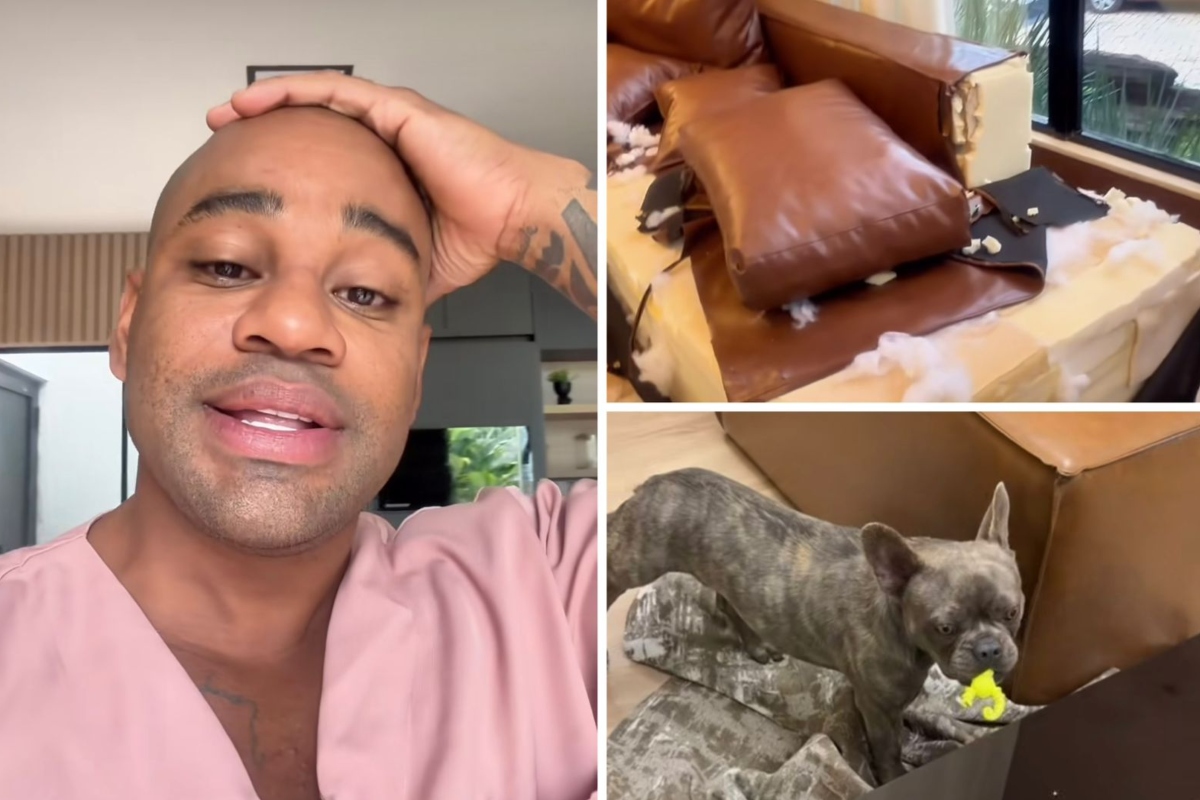 Cachorro de Cézar Black destrói o sofá