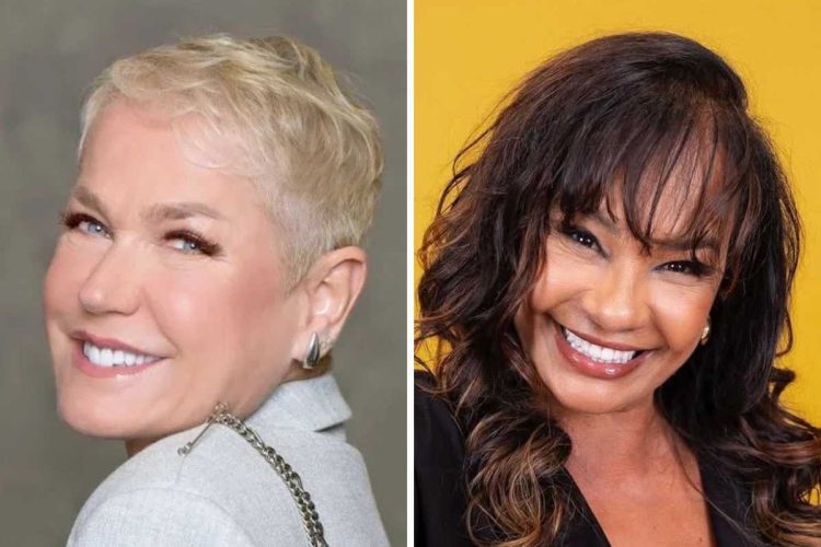 fotomontagem e xuxa meneghel e solange couto