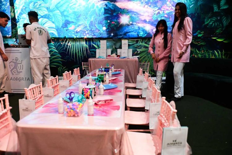 Decoração da festa de aniversário de 3 anos de Lua