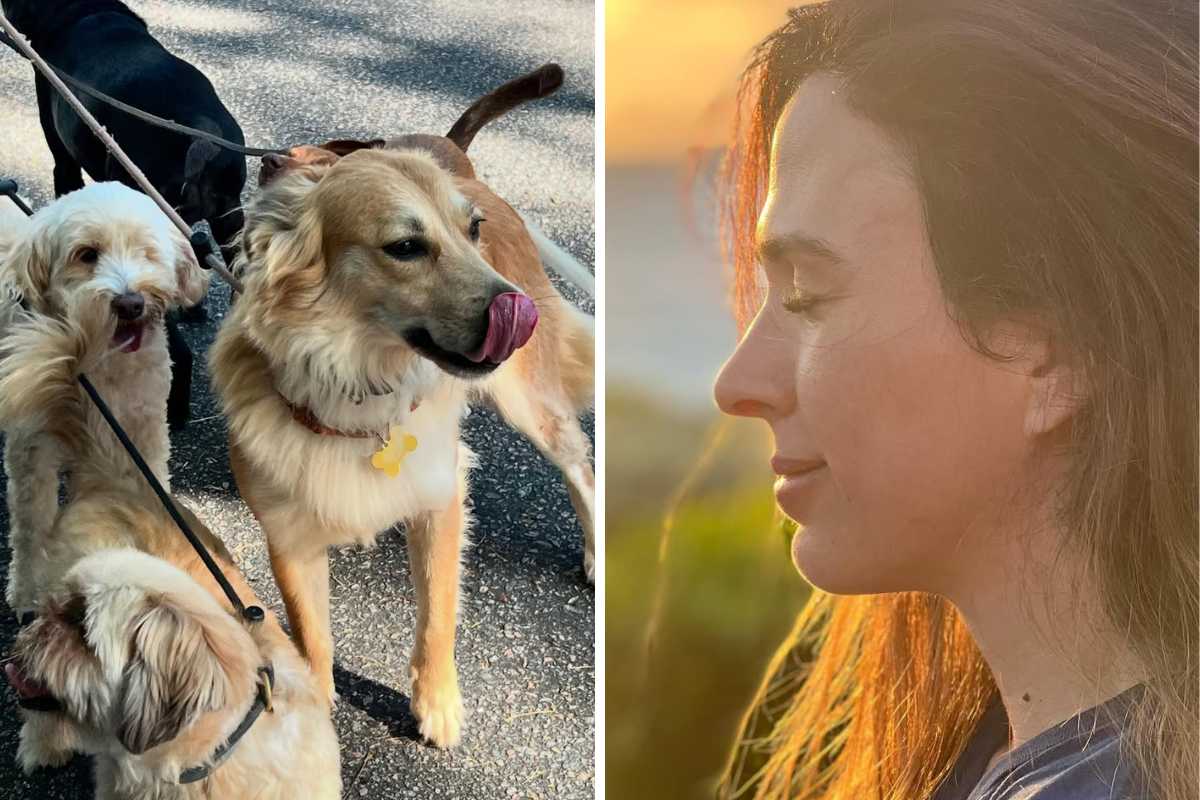 tatá werneck e seus cachorros