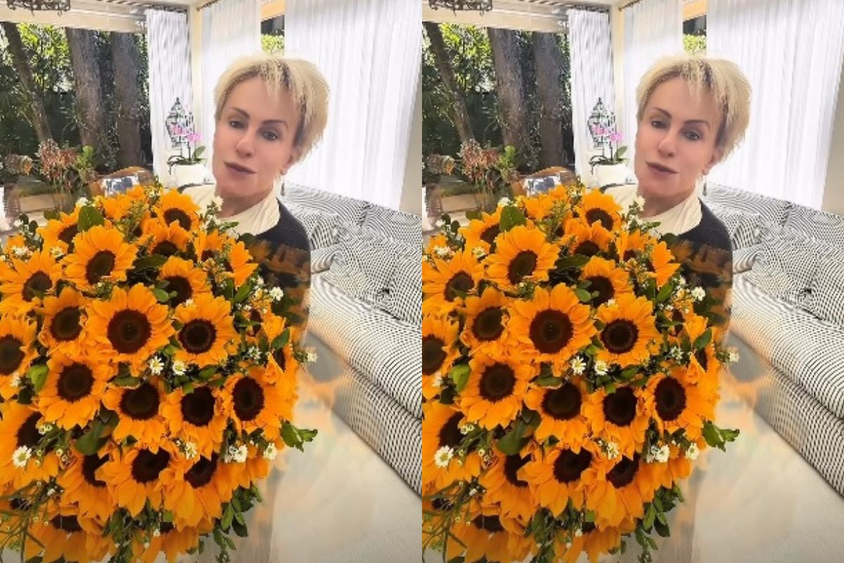 Ana Maria Braga