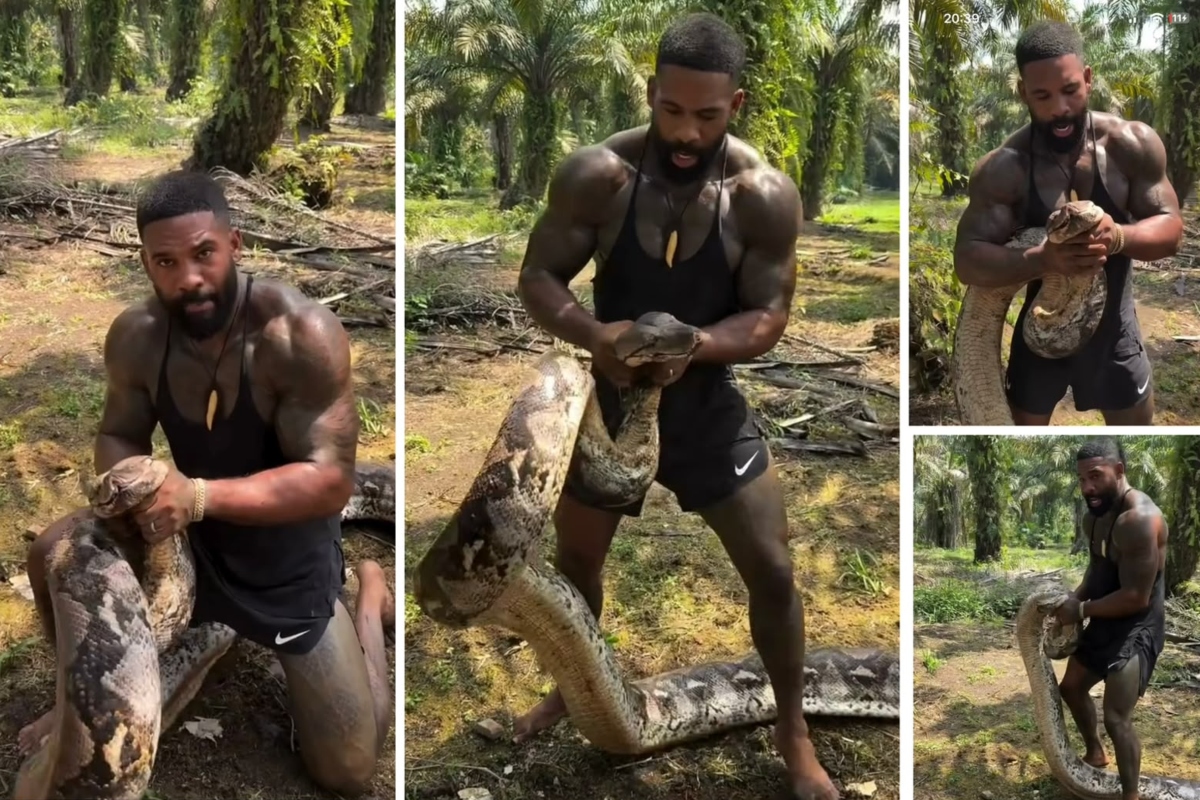 O Influenciador 'Tarzan'
