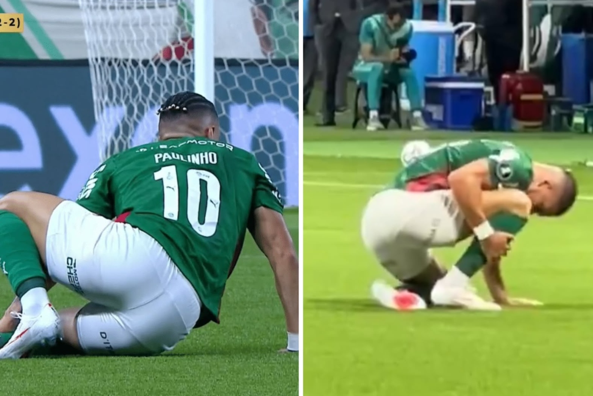 Paulinho Palmeiras